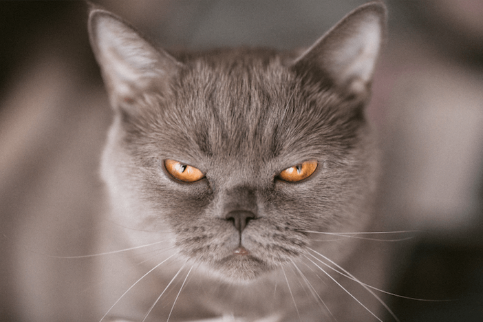 5 Healthy Ways to Process Anger