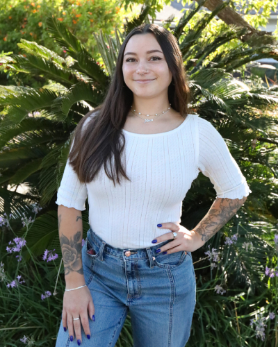 allison allison